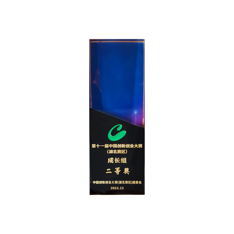 第十一屆中國創(chuàng)新創(chuàng)業(yè)大賽（湖北賽區(qū)）成長組二等獎