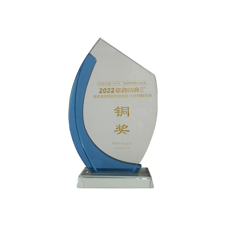 2022年“創(chuàng)青春”湖北青年創(chuàng)新創(chuàng)業(yè)大賽（科技創(chuàng)新專項）銅獎
